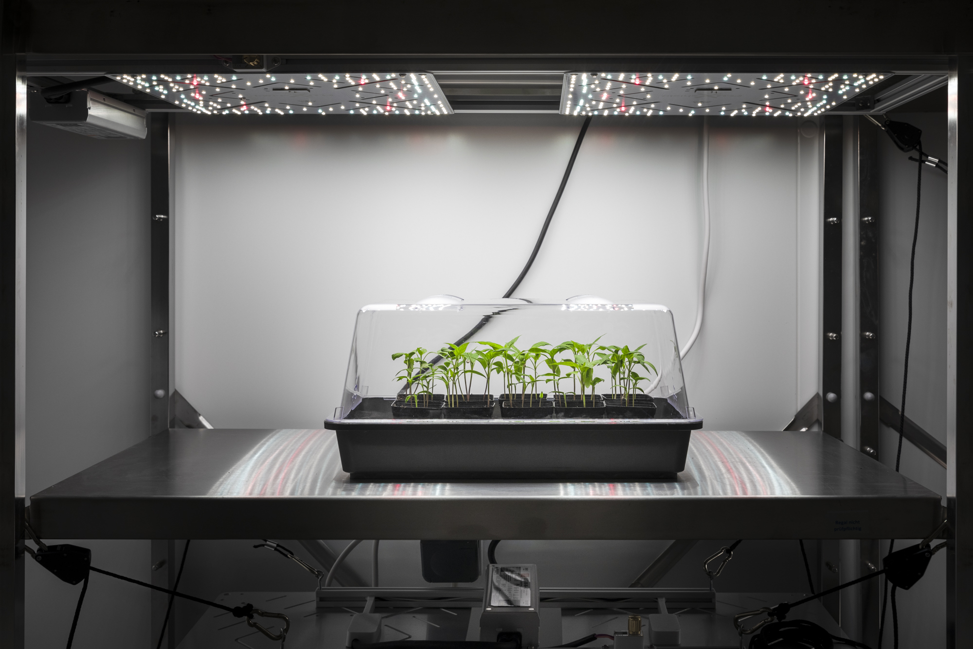 This photography made by Umberto Diecinove is part of his project I N S C T S. This picture made in Germany in 2024 at the Leibniz Institute for Agricultural Technology and Bioeconomy shows a trial for testing black soldier fly. The black soldier fly (Hermetia illucens) residues as biofertilizers. Insect farming offers locally solutions to address global environmental challenges. It contributes towards addressing many environmental and social issues. Within the context of the United Nations Sustainable Development Goals: climate action, life on land, zero hunger, no poverty, good jobs and economic growth, good health, gender equality, responsible consumption.
